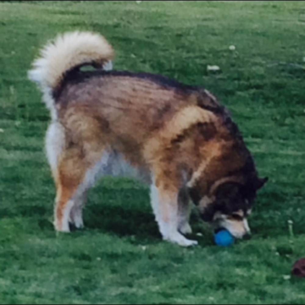 Meet your Posher, Kjell